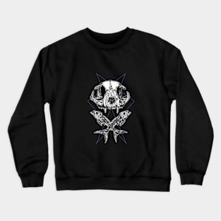 Curiosity Crewneck Sweatshirt